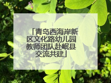 青岛西海岸新区文化路幼儿园教师团队赴岷县交流共建