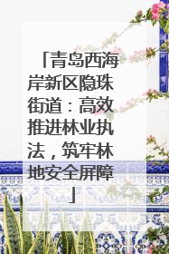 青岛西海岸新区隐珠街道：高效推进林业执法，筑牢林地安全屏障
