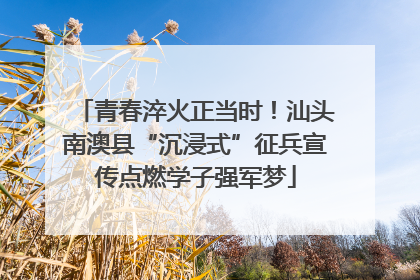 青春淬火正当时！汕头南澳县“沉浸式”征兵宣传点燃学子强军梦