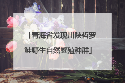 青海省发现川陕哲罗鲑野生自然繁殖种群
