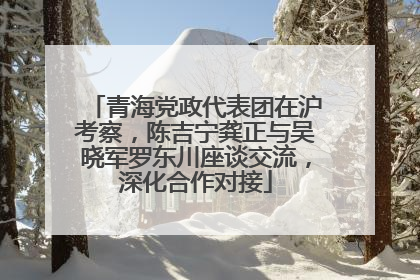青海党政代表团在沪考察，陈吉宁龚正与吴晓军罗东川座谈交流，深化合作对接