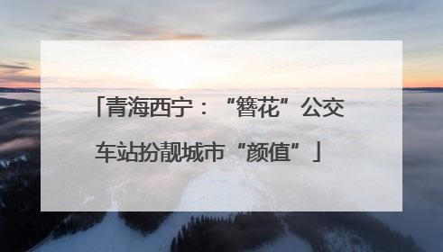 青海西宁：“簪花”公交车站扮靓城市“颜值”
