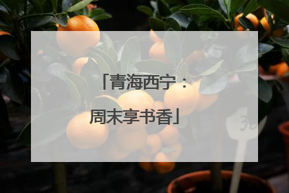 青海西宁：周末享书香