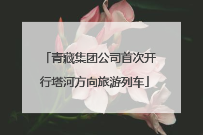 青藏集团公司首次开行塔河方向旅游列车