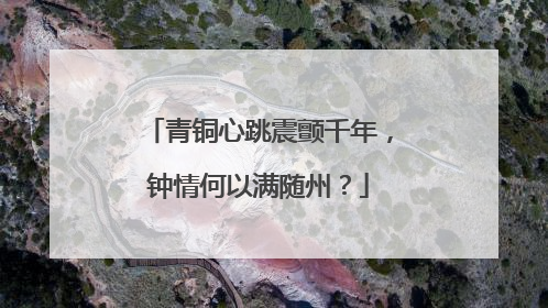 青铜心跳震颤千年，钟情何以满随州？