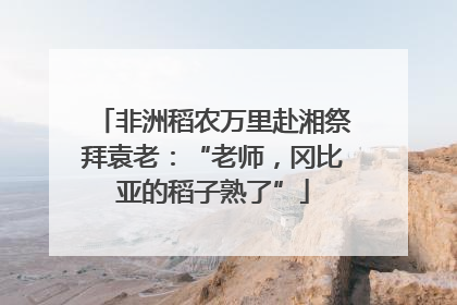 非洲稻农万里赴湘祭拜袁老：“老师，冈比亚的稻子熟了”