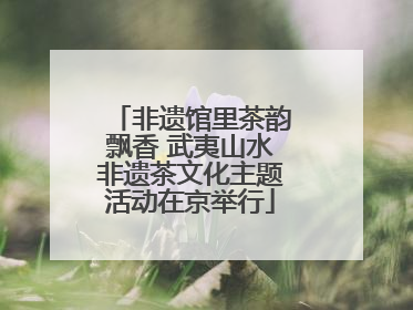 非遗馆里茶韵飘香 武夷山水非遗茶文化主题活动在京举行
