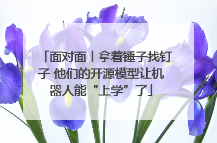 面对面丨拿着锤子找钉子 他们的开源模型让机器人能“上学”了
