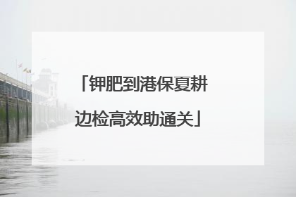 钾肥到港保夏耕 边检高效助通关