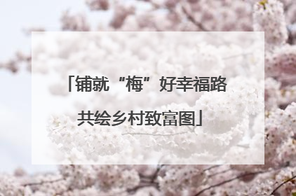 铺就“梅”好幸福路 共绘乡村致富图