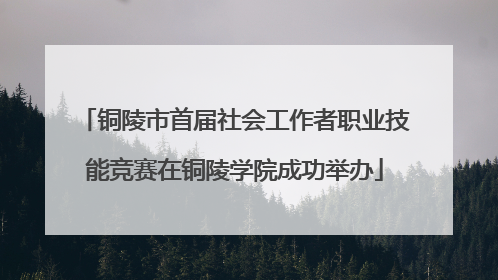 铜陵市首届社会工作者职业技能竞赛在铜陵学院成功举办