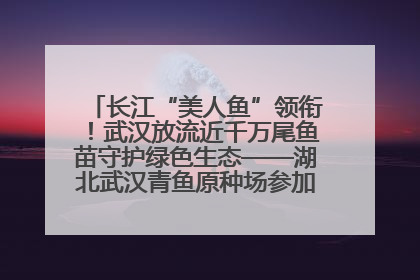 长江“美人鱼”领衔！武汉放流近千万尾鱼苗守护绿色生态——湖北武汉青鱼原种场参加2025年“全国放鱼日”增殖放流活动