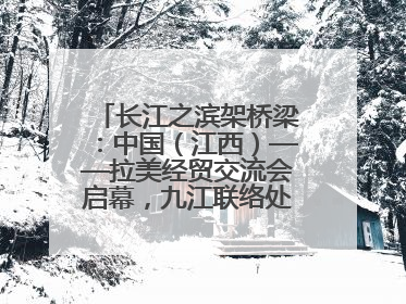 长江之滨架桥梁：中国（江西）——拉美经贸交流会启幕，九江联络处授牌拓商机