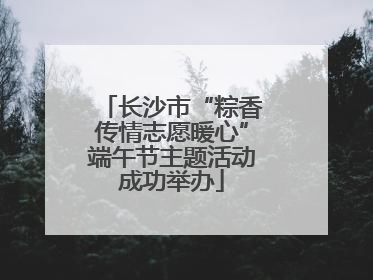 长沙市“粽香传情志愿暖心”端午节主题活动成功举办