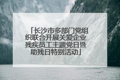长沙市多部门党组织联合开展关爱企业残疾员工主题党日暨助残日特别活动
