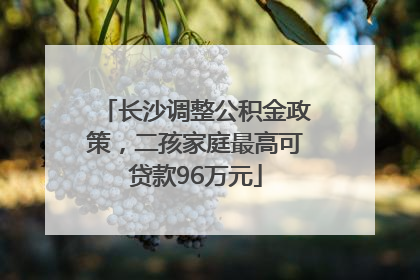 长沙调整公积金政策，二孩家庭最高可贷款96万元