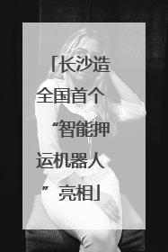 长沙造全国首个“智能押运机器人”亮相