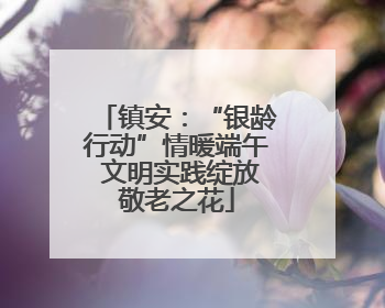 镇安：“银龄行动”情暖端午 文明实践绽放敬老之花