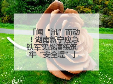 闻“汛”而动！湖南新宁应急铁军实战演练筑牢“安全堤”