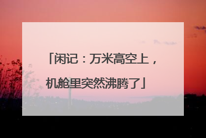 闲记：万米高空上，机舱里突然沸腾了