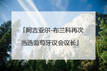 阿吉亚尔-布兰科再次当选葡萄牙议会议长