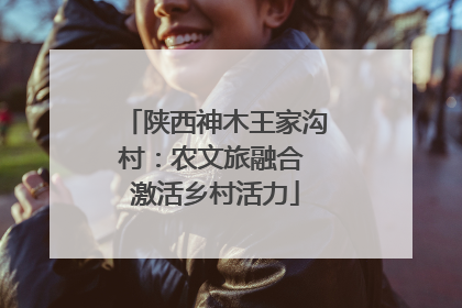 陕西神木王家沟村：农文旅融合 激活乡村活力