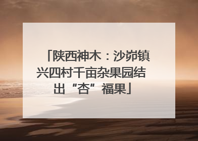 陕西神木：沙峁镇兴四村千亩杂果园结出“杏”福果