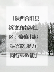 陕西合阳县新池镇南沟社区：葡萄串起振兴路 聚力同行显效能