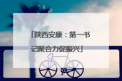 陕西安康：第一书记聚合力促振兴