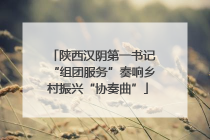 陕西汉阴第一书记“组团服务”奏响乡村振兴“协奏曲”
