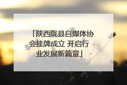 陕西陇县自媒体协会挂牌成立 开启行业发展新篇章