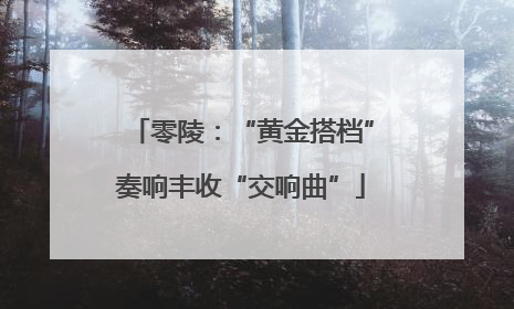 零陵：“黄金搭档”奏响丰收“交响曲”