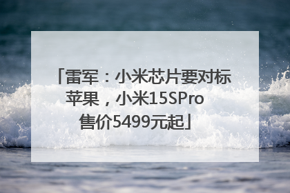 雷军：小米芯片要对标苹果，小米15SPro售价5499元起
