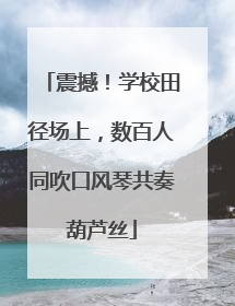 震撼！学校田径场上，数百人同吹口风琴共奏葫芦丝