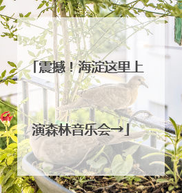 震撼！海淀这里上演森林音乐会→