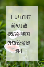 顶压前行 前5月数据折射我国外贸较强韧性