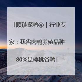 顺链探鸭④｜行业专家：我省肉鸭养殖品种80%是樱桃谷鸭