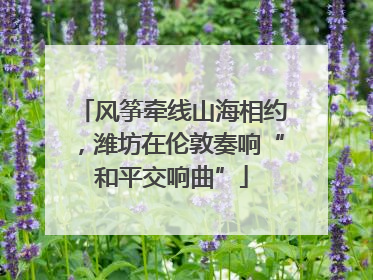 风筝牵线山海相约，潍坊在伦敦奏响“和平交响曲”