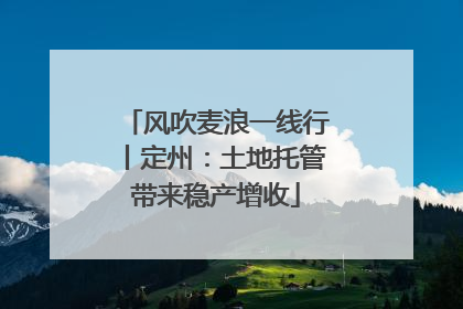 风吹麦浪一线行丨定州：土地托管带来稳产增收