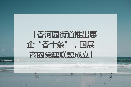 香河园街道推出惠企“香十条”，国展商圈党建联盟成立