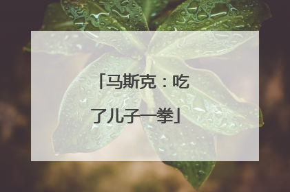 马斯克：吃了儿子一拳