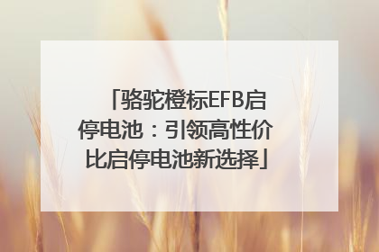 骆驼橙标EFB启停电池：引领高性价比启停电池新选择