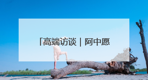 高端访谈｜阿中愿携手维护多边贸易体系和发展中国家利益——访阿拉伯议会议长亚马希