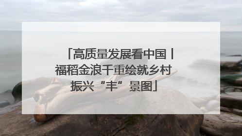 高质量发展看中国丨福稻金浪千重绘就乡村振兴“丰”景图