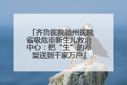 齐鲁医院德州医院省级危重新生儿救治中心：把“生”的希望送到千家万户