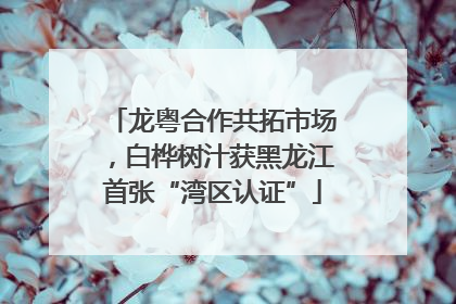 龙粤合作共拓市场，白桦树汁获黑龙江首张“湾区认证”
