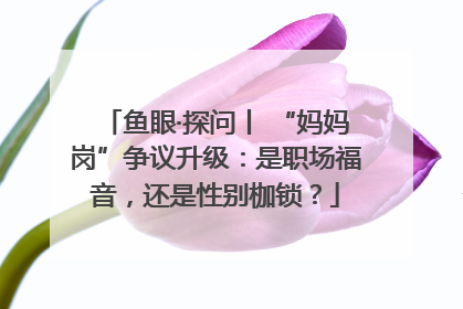 鱼眼·探问丨 “妈妈岗”争议升级：是职场福音，还是性别枷锁？