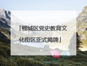 鲤城区党史教育文化街区正式揭牌