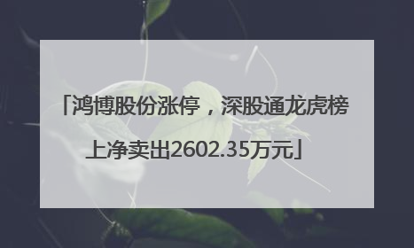 鸿博股份涨停，深股通龙虎榜上净卖出2602.35万元
