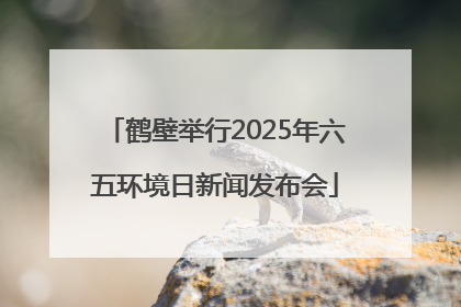 鹤壁举行2025年六五环境日新闻发布会